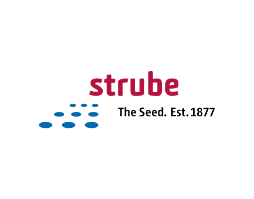 Strübe GmbH