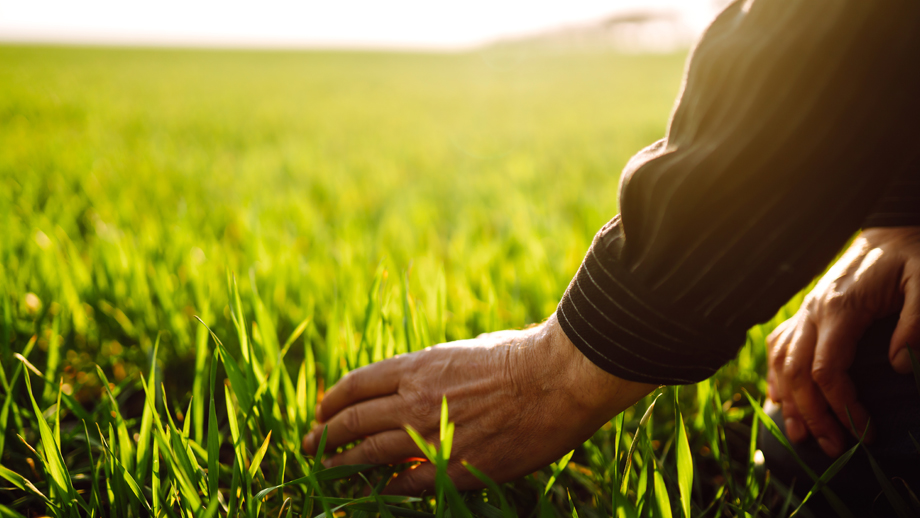 farmer in field