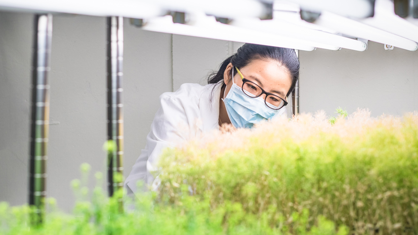 Female researcher