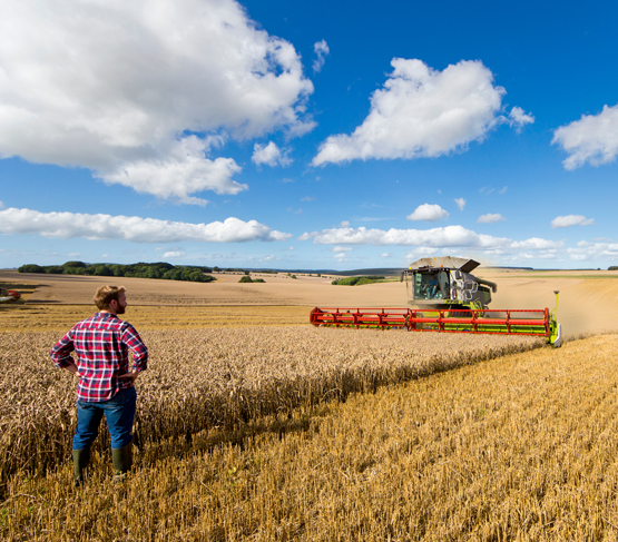 combine harvester