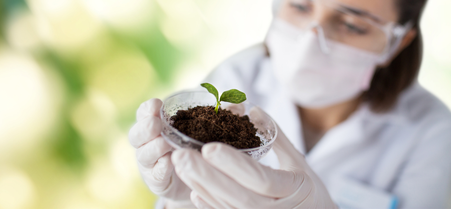 Petri dish with plant