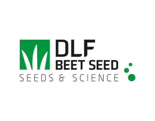 DLF Beet Seed